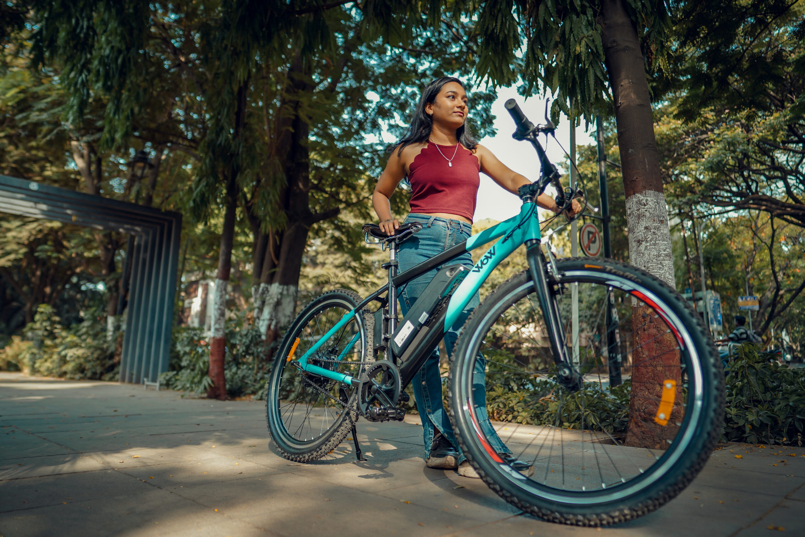 The Electric Bicycle: A Sustainable Solution