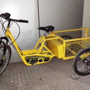 Transport Tricycle